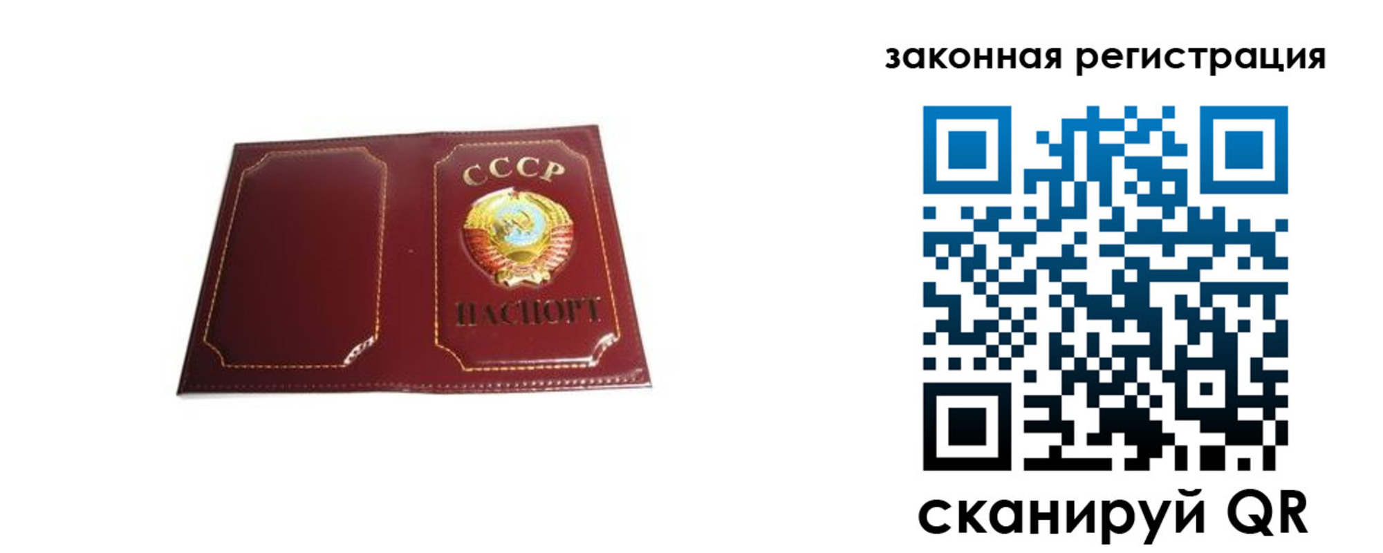 прописка поиск в Владимире
